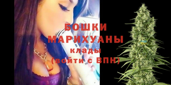 трава Бородино